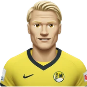 erling haaland sticker