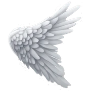 Wing sticker