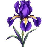 Realistic Still life detailed Iris sibirica sticker