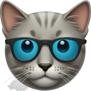 Cat with sunglasses sticker