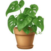 Pothos plant in a teracotta pot sticker