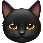 Black cat sticking out middle finger sticker