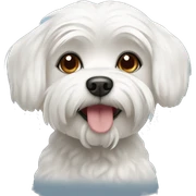 maltese dog sticker