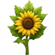 Sunflower  sticker