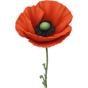 poppy sticker