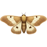 moth sticker