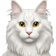 White Maine coon sticker