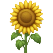 Girasole  sticker