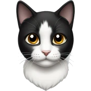 Black and White cat sticker