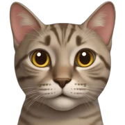 cats  sticker