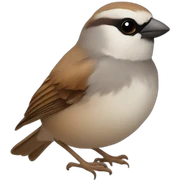 sparrow sticker