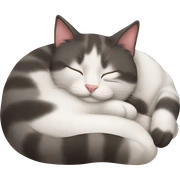 CAT sleep sticker