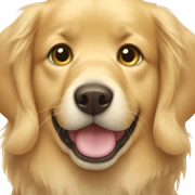 Golden retriever  sticker