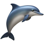 Dauphin sticker