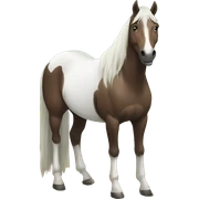 Caballo sticker