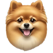 Pomeranian sticker