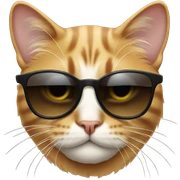 Cat with sunglasses sticker