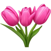 Pink tulips with a bow sticker