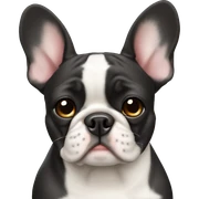 french bulldog sticker