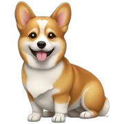 corgie sticker