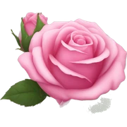 Pink rose sticker
