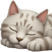 Cat sleep sticker