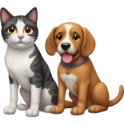 dog and cat  sticker
