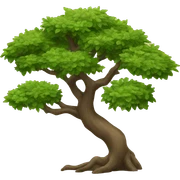 Bonsi tree sticker