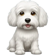 White male havanise dog sticker