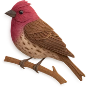 very detailed purple finch perched on a tree branch, intricate cut paper textures, raspberry-red head and chest, brown streaked body, realistic feathers sticker