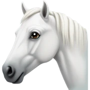 White horse sticker