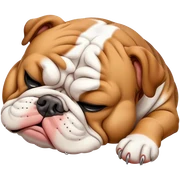 Bulldog sleeping  sticker