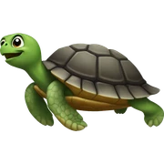 Turtle on turtle sticker