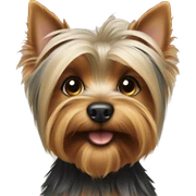 Yorkshire terrier  sticker