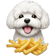 Bichon fries sticker