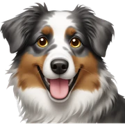 Australian shepherd emoji  sticker