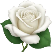 White rose sticker