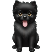 Black Pomeranian pup sticker