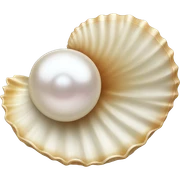 shell with pearl sticker