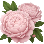 pale pink flower bouquet  sticker