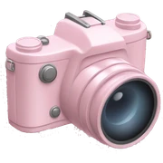 Pastel pink digicam sticker