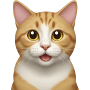 Cat cat sticker