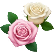 Pink rose and a white rose sticker