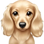 puppy cream  long hair cute baby dachshund sticker