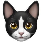 Black and white cat sticker