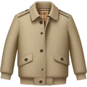 burberry jacket sticker