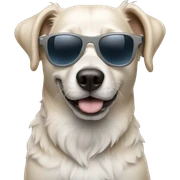 Dog with sunglasses  sticker