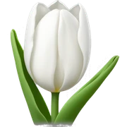 White tulips sticker