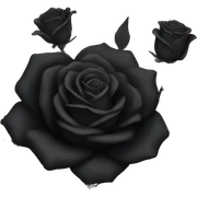 Black roses sticker