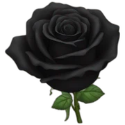 Black roses sticker